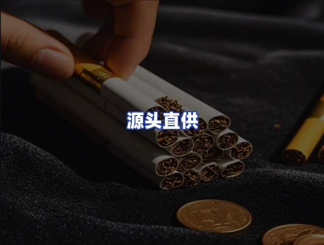 专业团队
